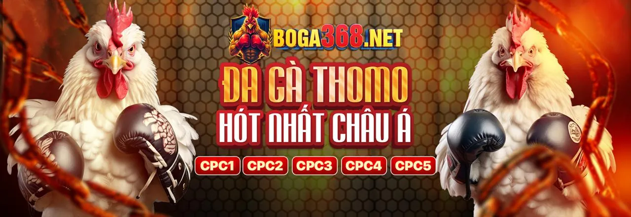 Đá Gà Trực Tiếp daga68